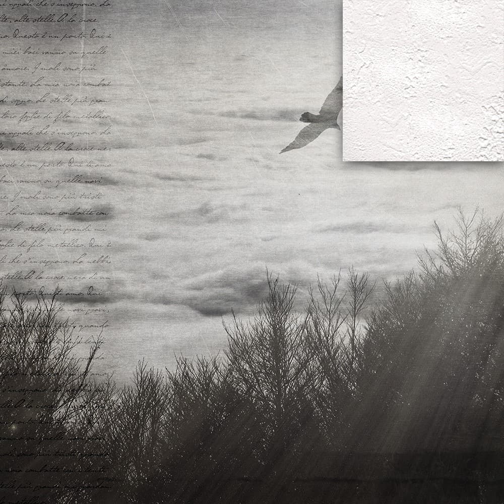 Adriani & Rossi Atmosphere_2 — фото 5