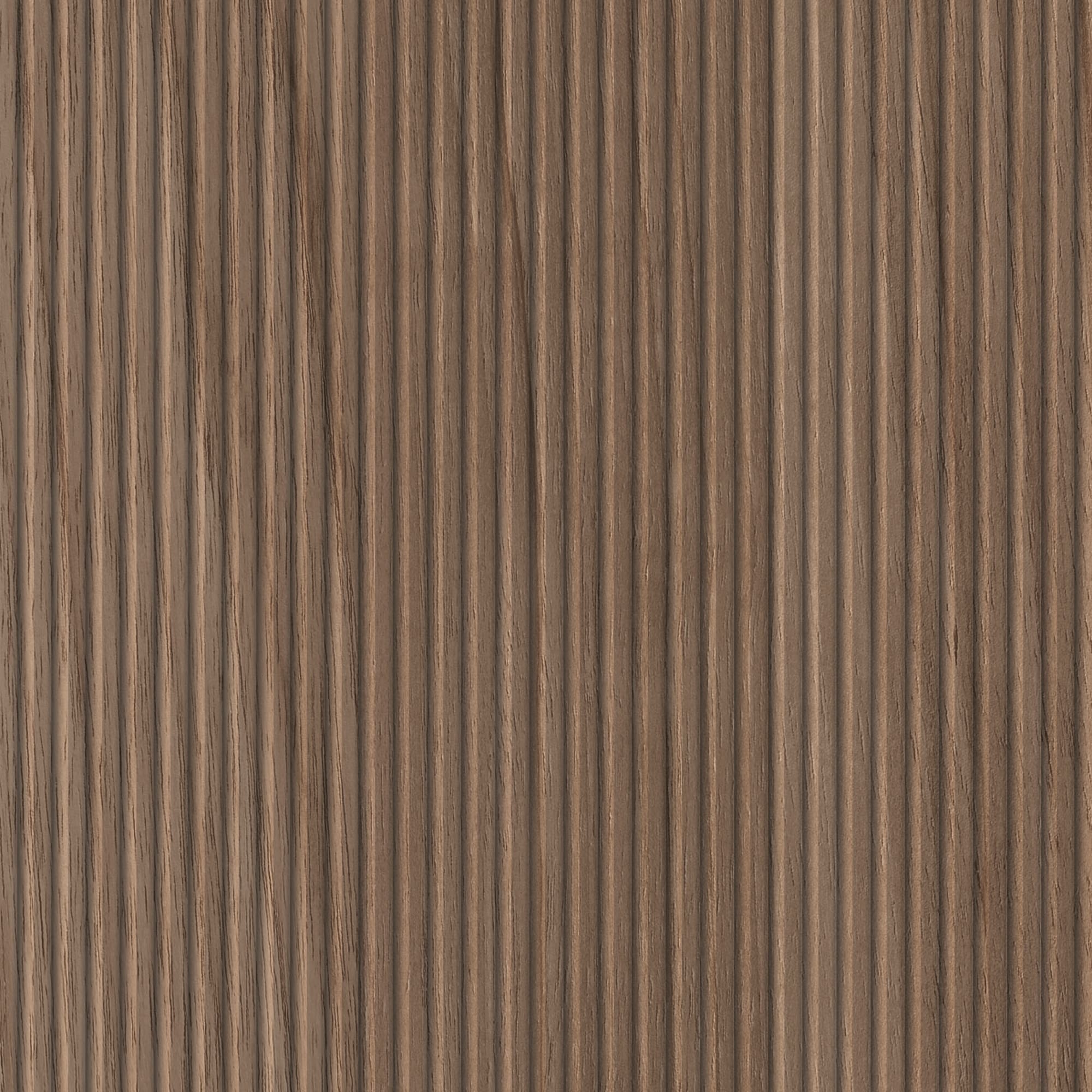 Adriani & Rossi Noce Ritmo — фото 1