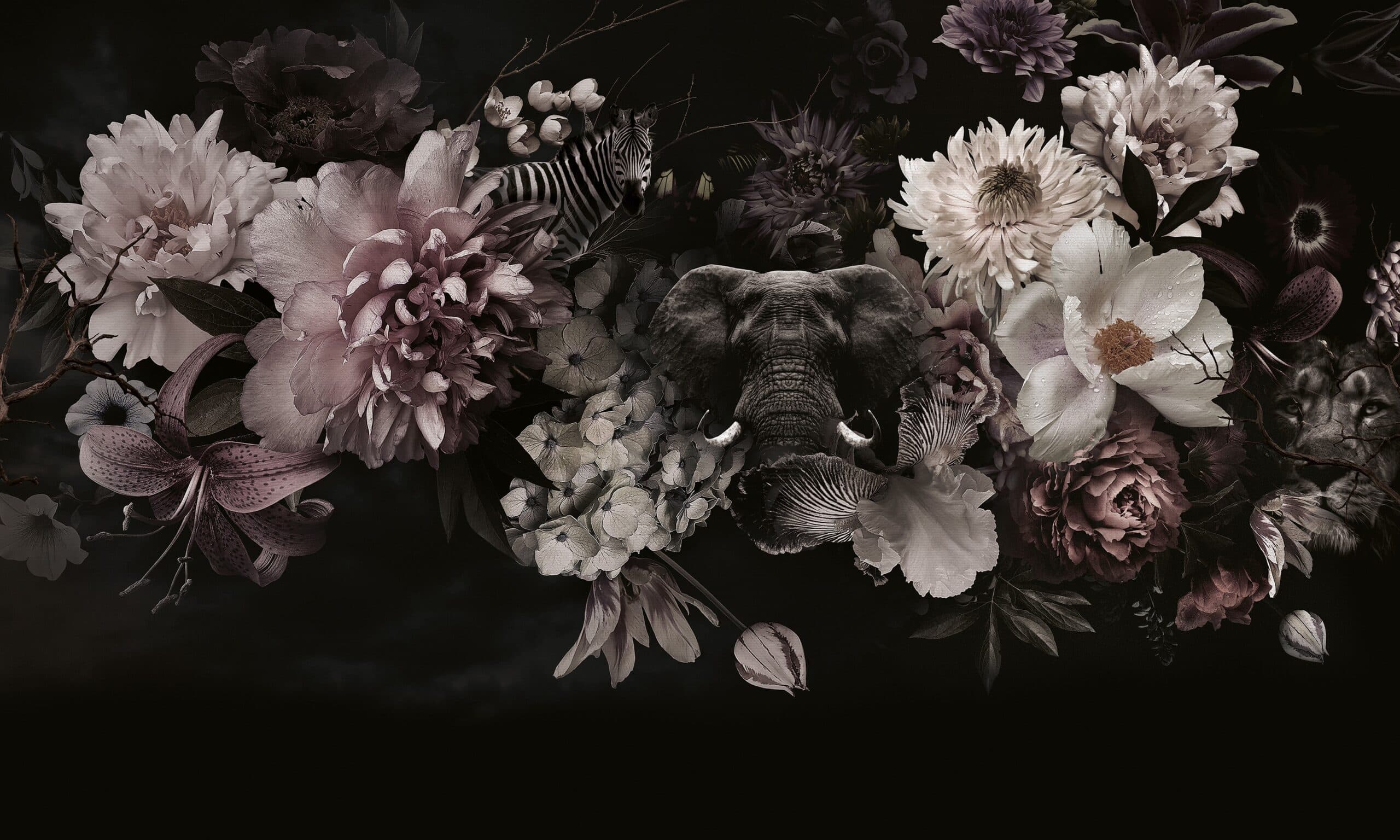 Adriani & Rossi Francis — фото 2