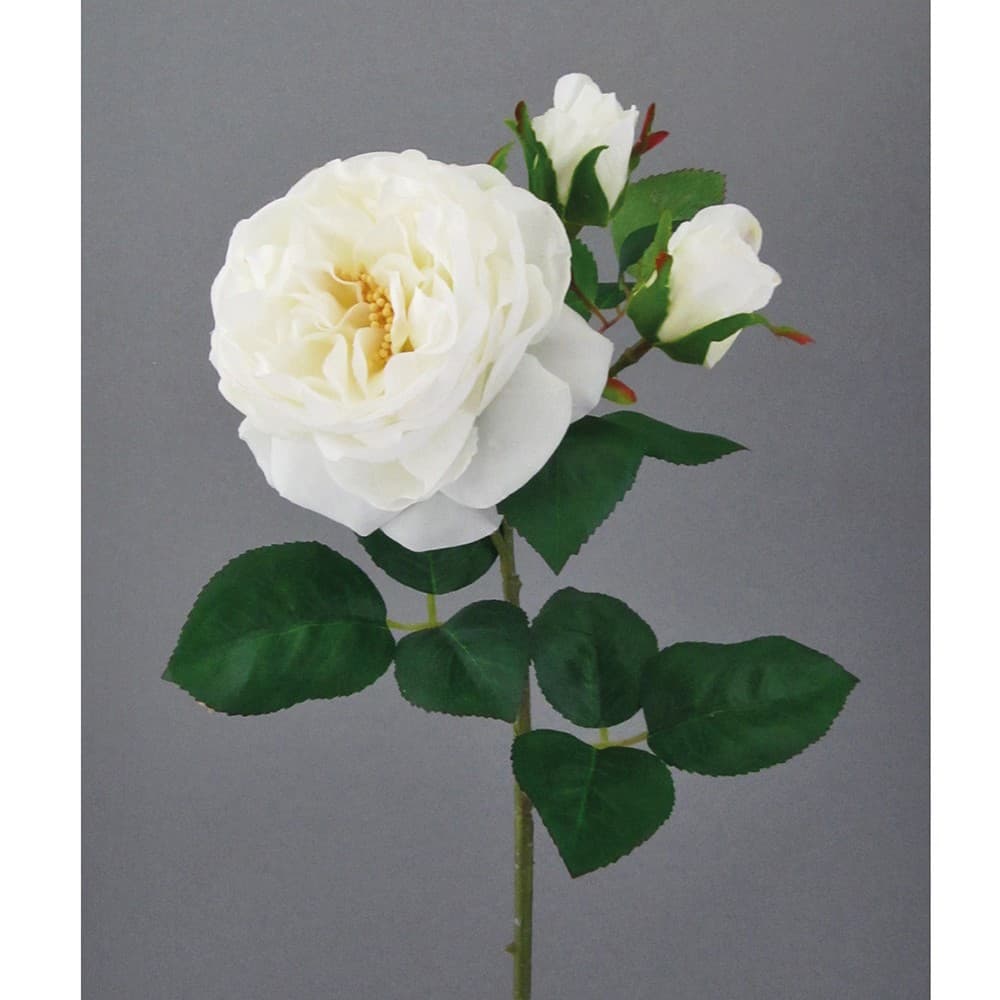 Adriani & Rossi Albero Rose — фото 2