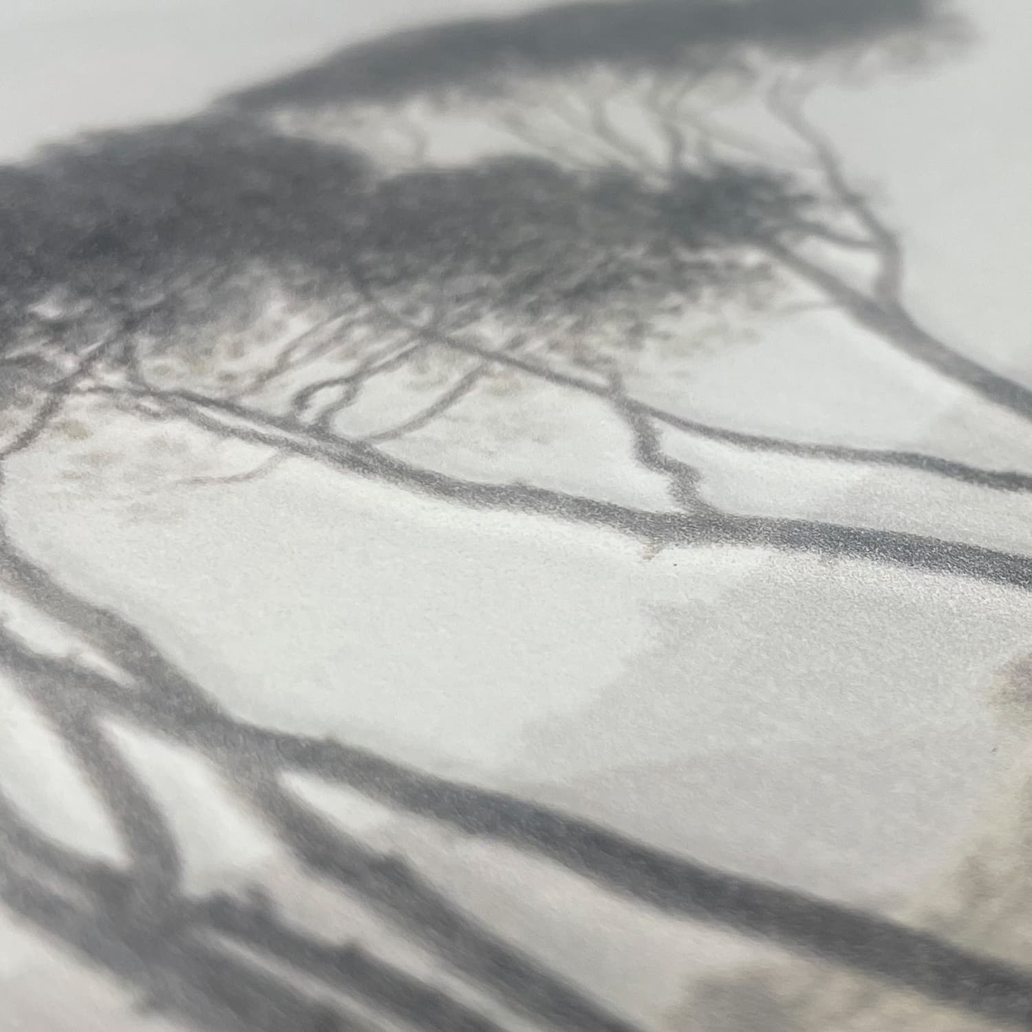 Adriani & Rossi Canova – Tree Color – 3D — фото 3