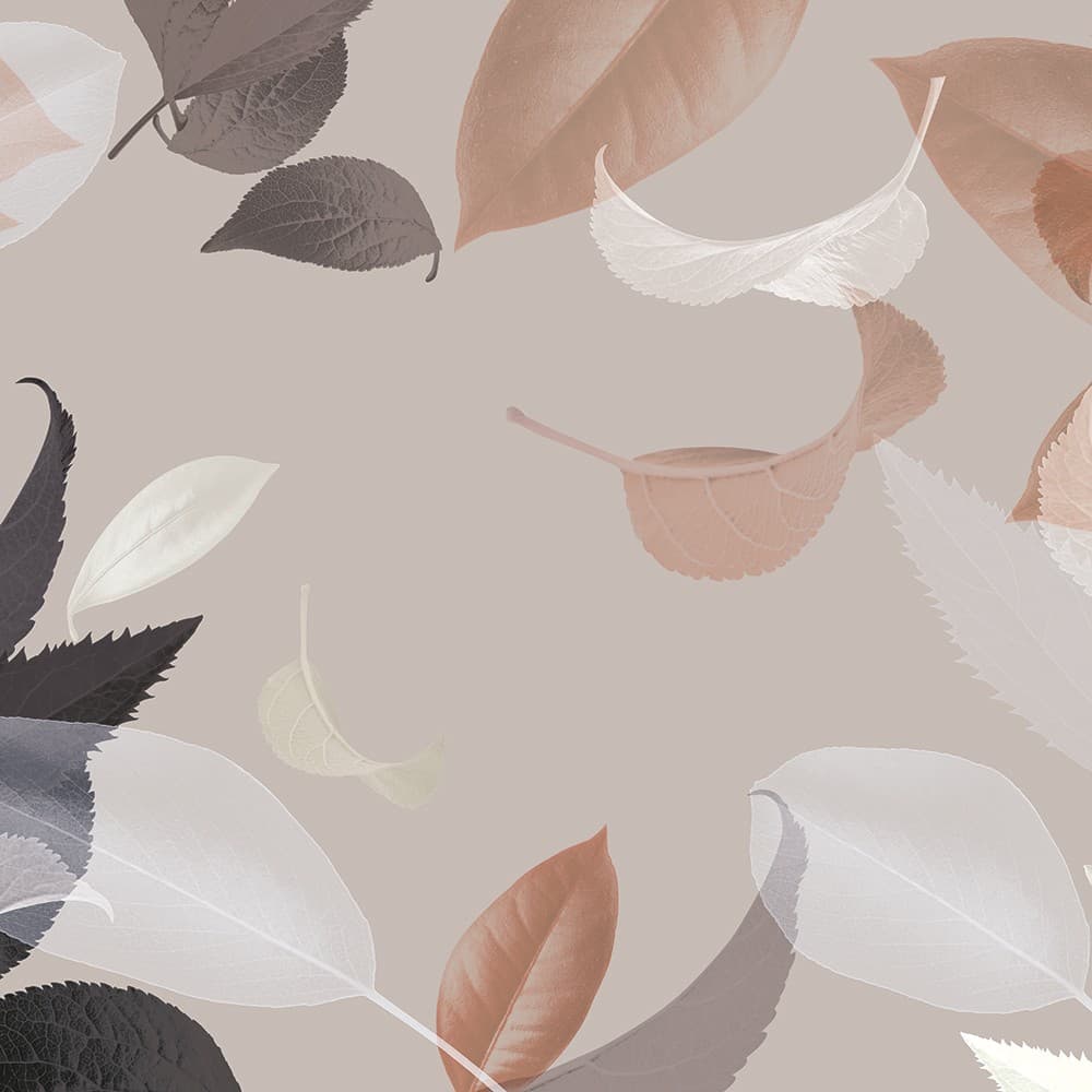 Adriani & Rossi Leaves_2