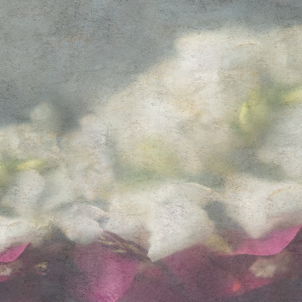 Adriani & Rossi Ilaria — фото 1