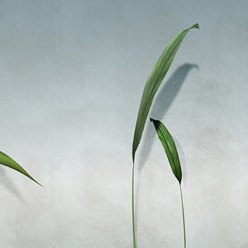 Adriani & Rossi Oasi — фото 1