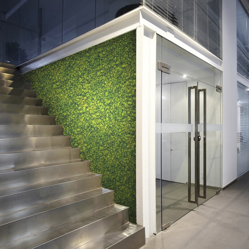 Adriani & Rossi Lichene al mq — фото 2