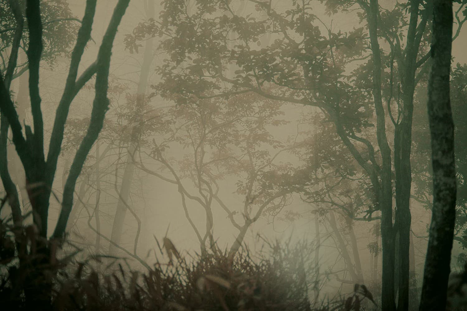 Adriani & Rossi Moon_2 — фото 3