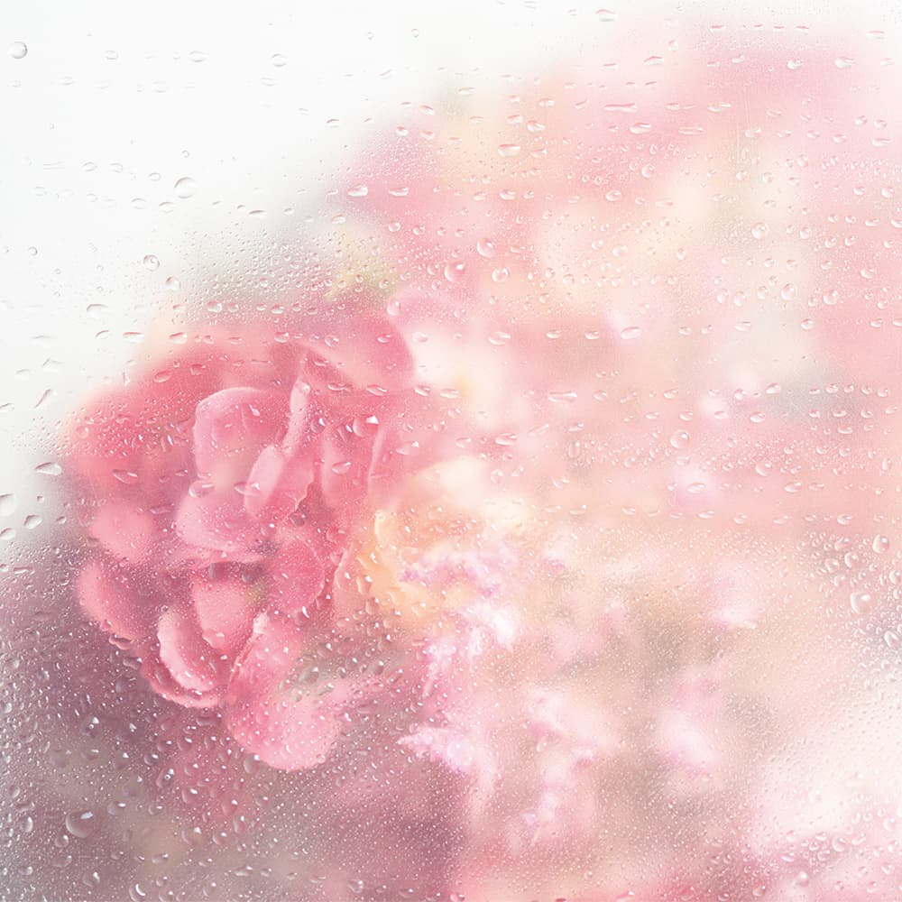 Adriani & Rossi Greta — фото 1