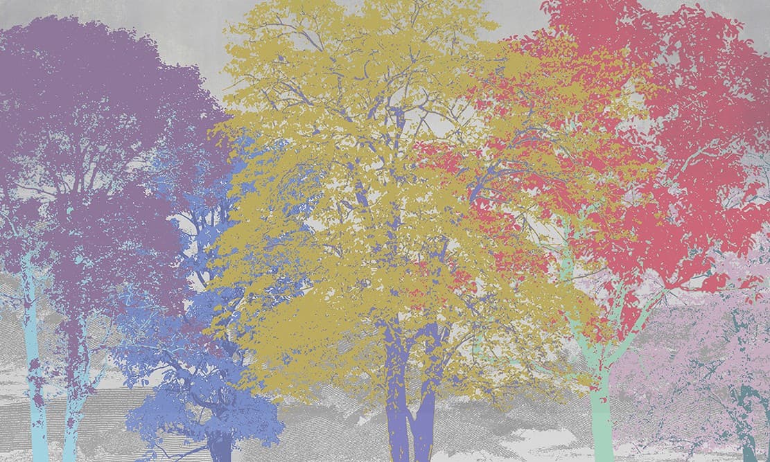 Adriani & Rossi Color Trees — фото 3