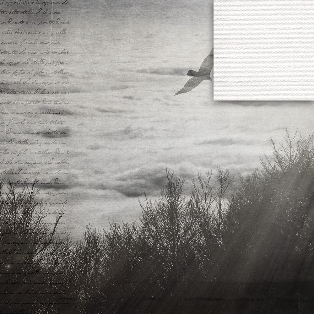 Adriani & Rossi Atmosphere_2 — фото 3