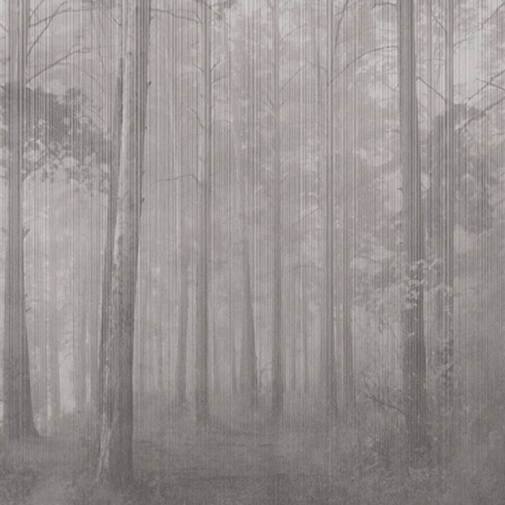 Adriani & Rossi Memor 1 — фото 1