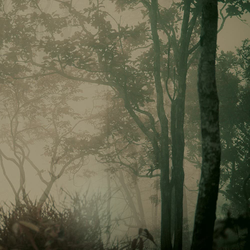 Adriani & Rossi Moon_2 — фото 1