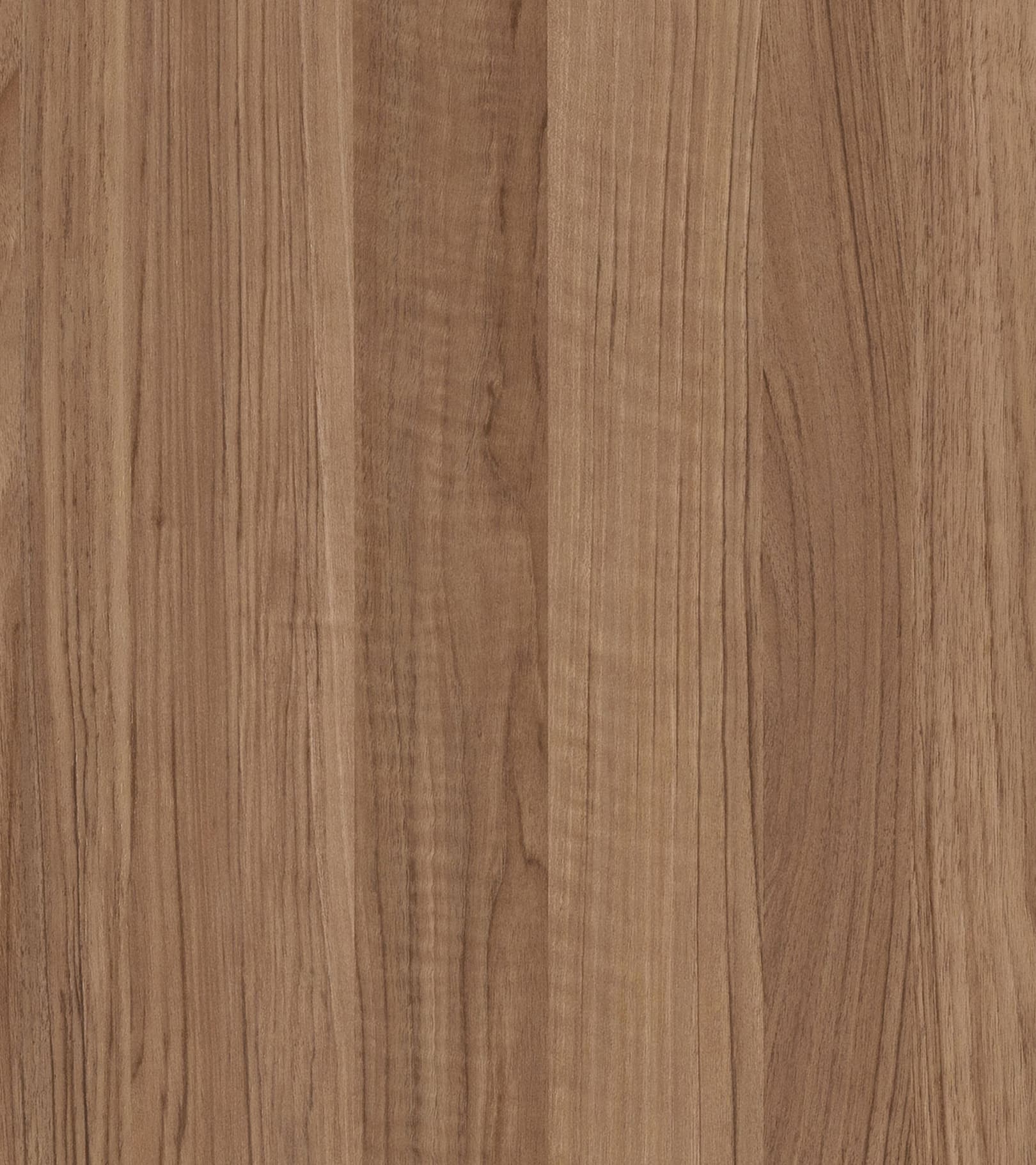 Adriani & Rossi Noce — фото 1