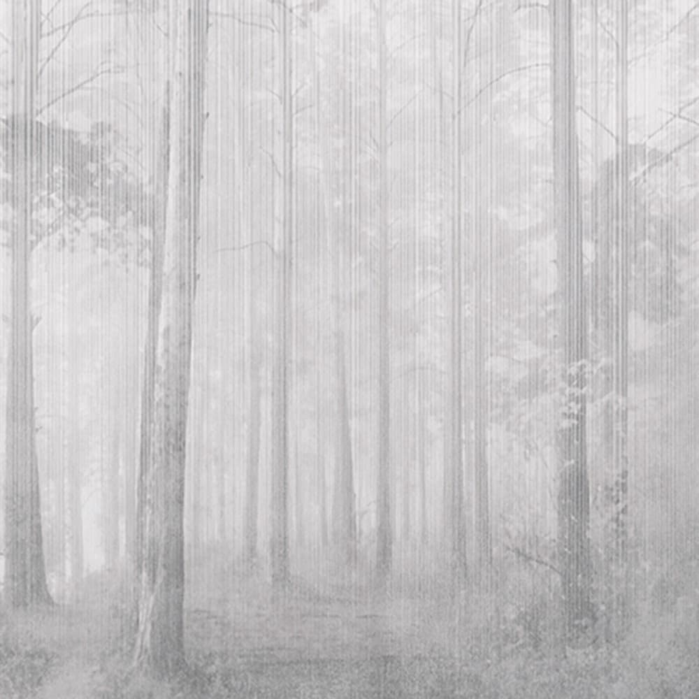 Adriani & Rossi Memor 2 — фото 1