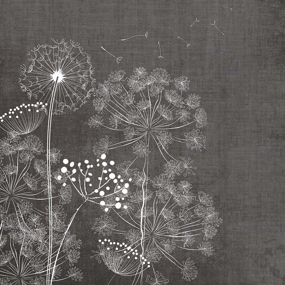 Adriani & Rossi Wind Flowers Dark