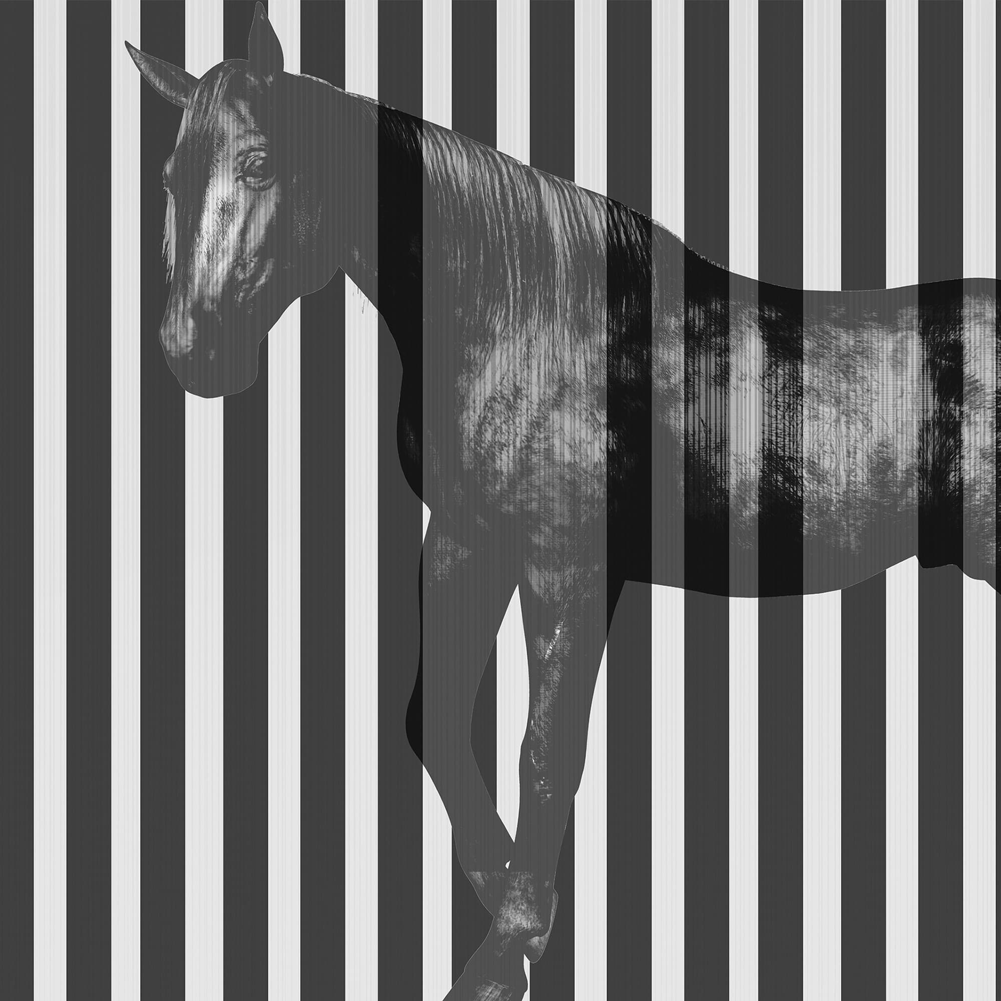 Adriani & Rossi Varen Line — фото 1