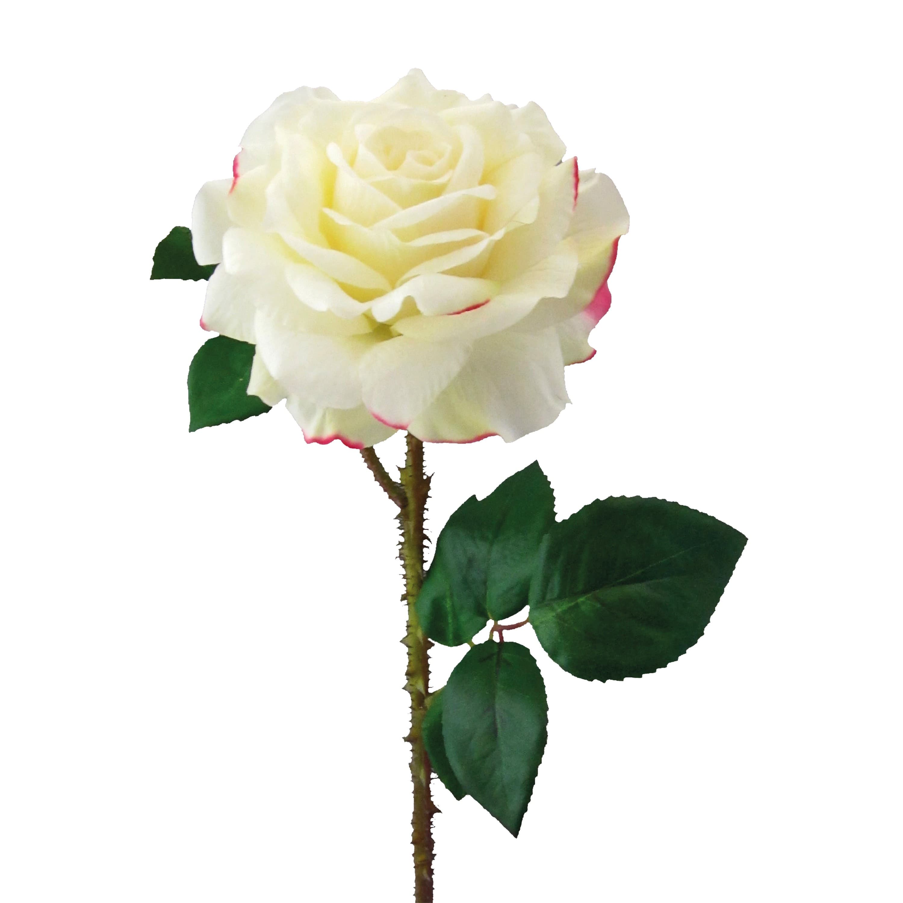 Adriani & Rossi Fiore Rosa Regia