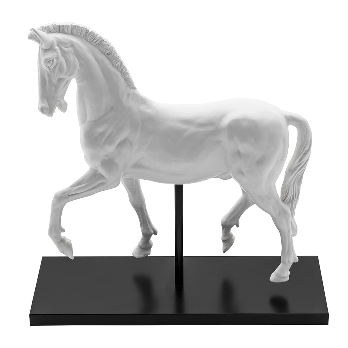 Adriani & Rossi Galoppo & Rampante