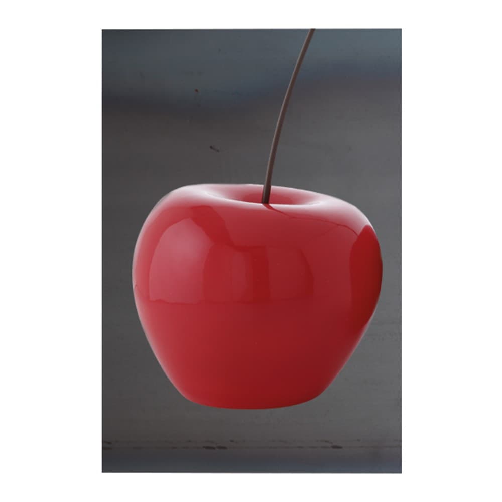 Adriani & Rossi Set libri veri composizione