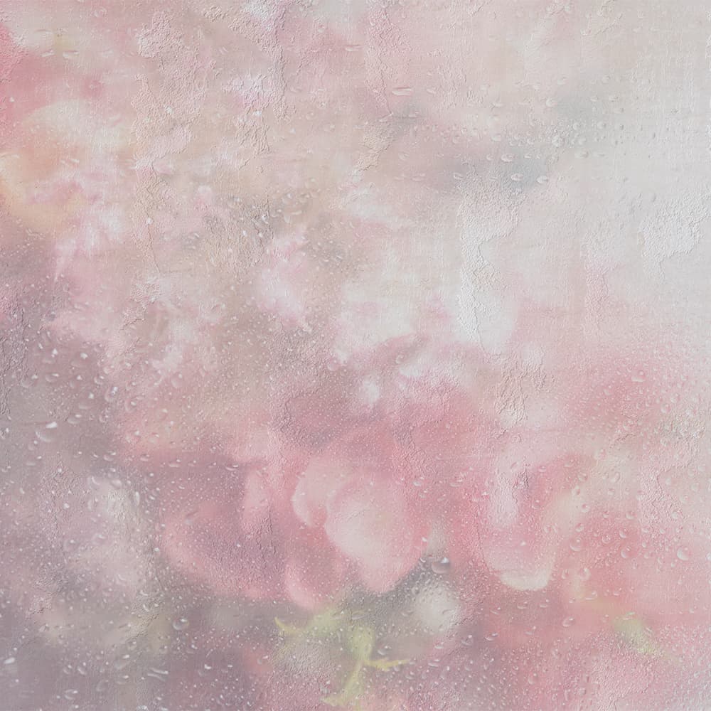 Adriani & Rossi Ortensia — фото 1