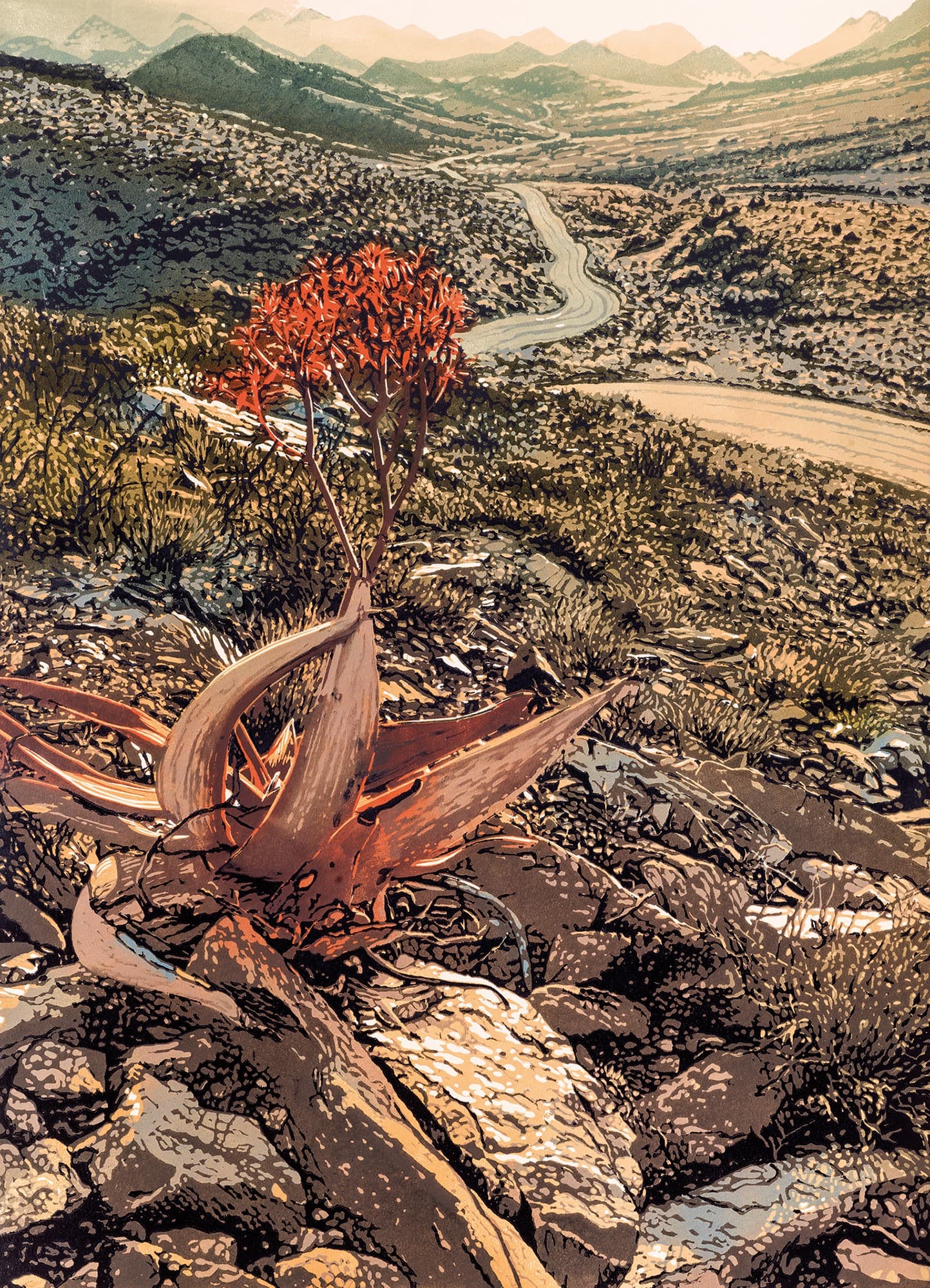 Adriani & Rossi WP20024_ARTE — фото 3