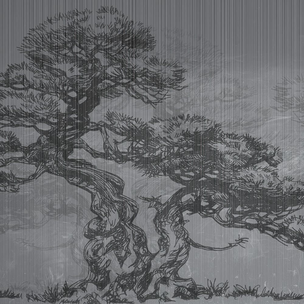 Adriani & Rossi Bonsai