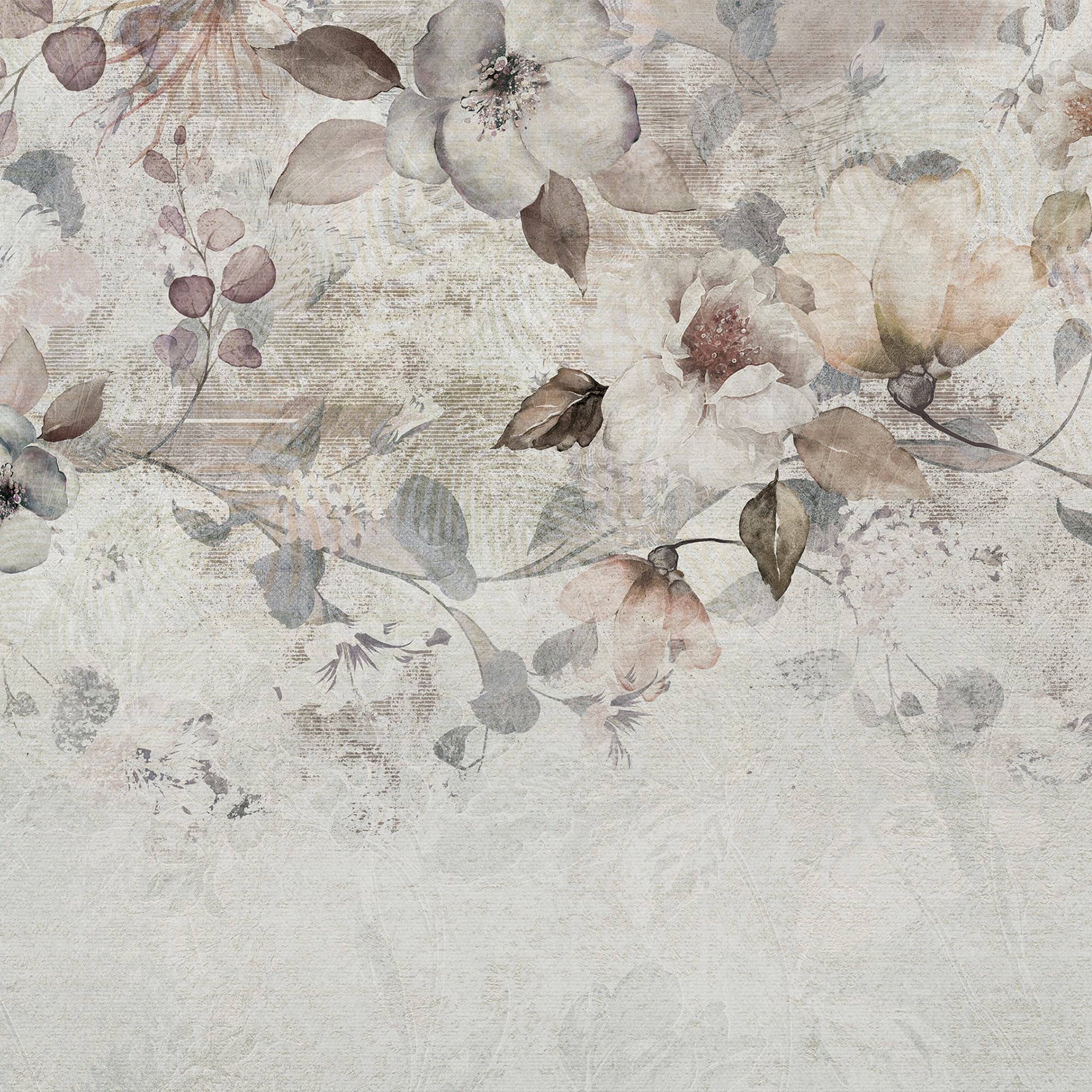 Adriani & Rossi Coleus Rose — фото 1