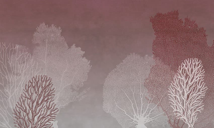 Adriani & Rossi Reef bordeaux — фото 4