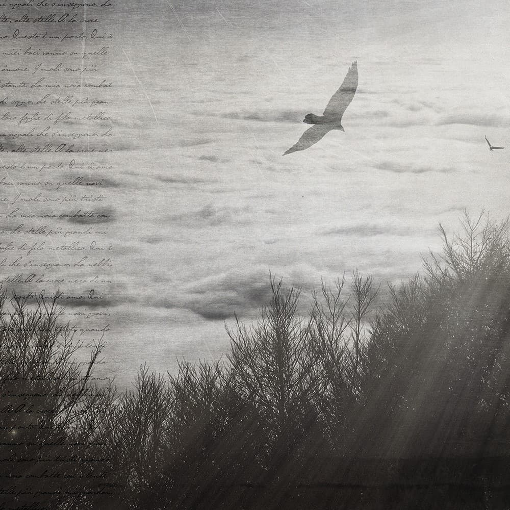 Adriani & Rossi Atmosphere_2 — фото 1