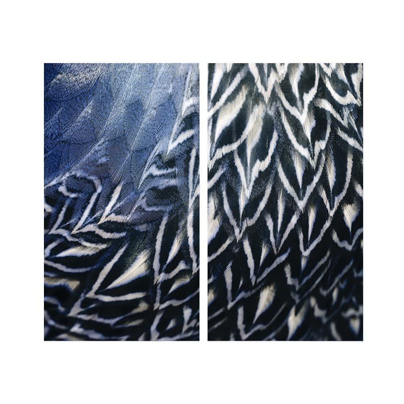 Adriani & Rossi Four season FS2106