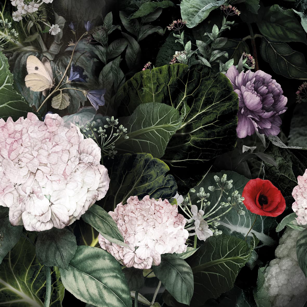 Adriani & Rossi Giardino_1 — фото 1