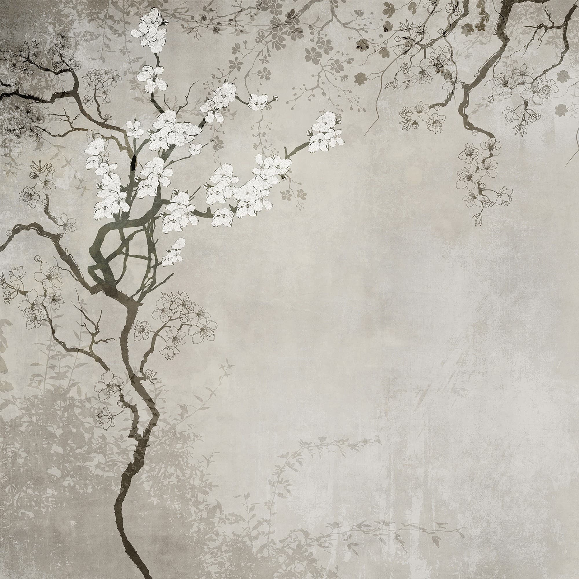 Adriani & Rossi Theater Oriente — фото 1