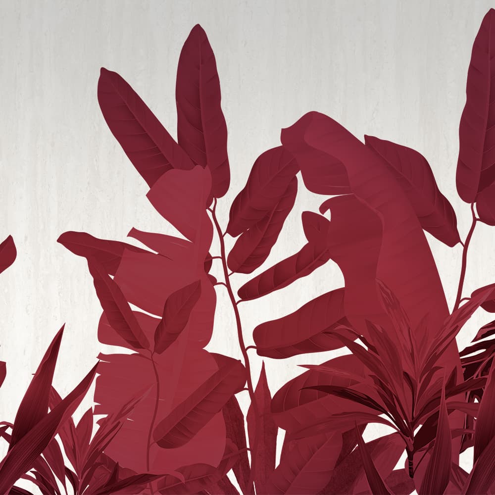 Adriani & Rossi Tropicana Trend — фото 1