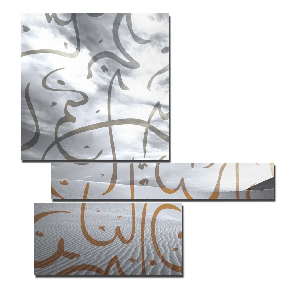 Adriani & Rossi 1491PX200