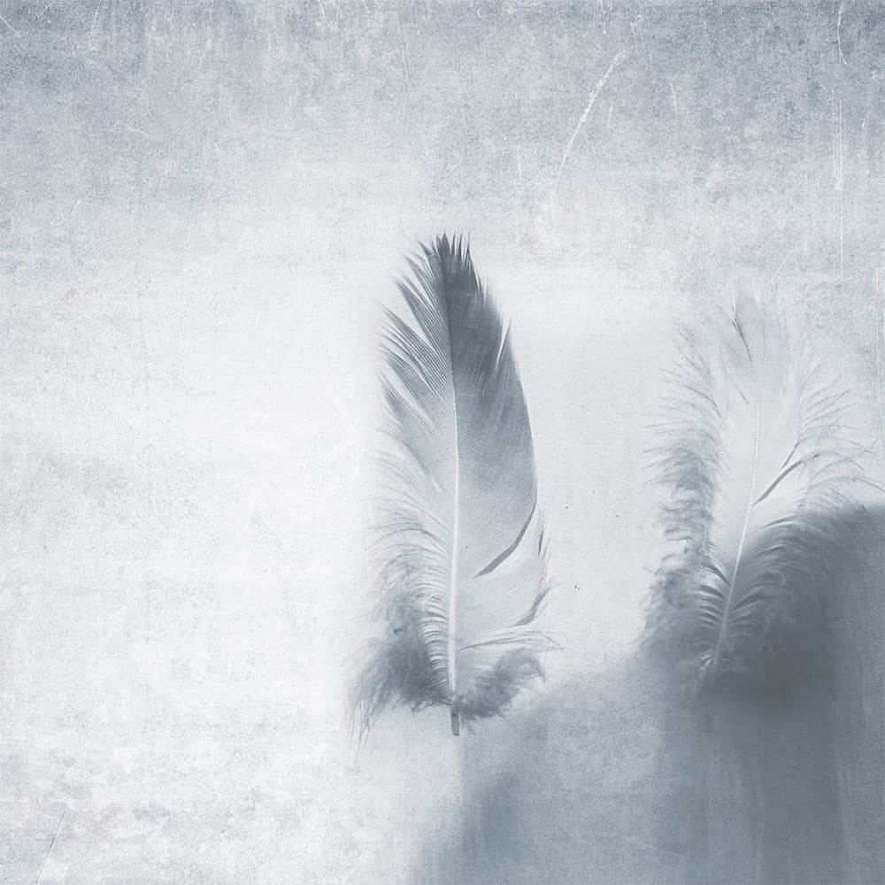 Adriani & Rossi Air_2 — фото 1