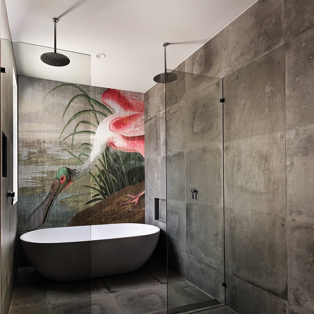 Adriani & Rossi Darwin_2 — фото 2