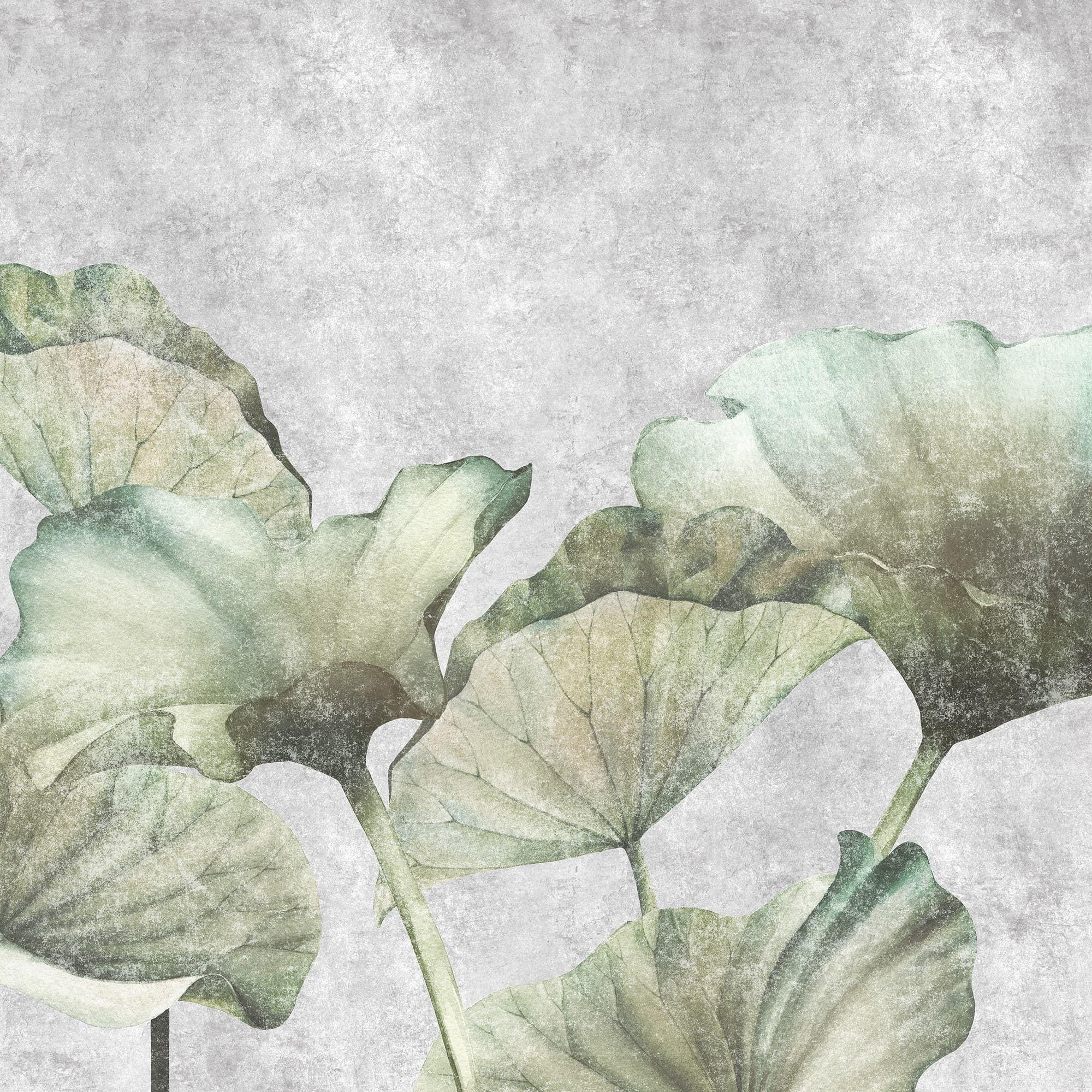 Adriani & Rossi Lotus Leaves — фото 1