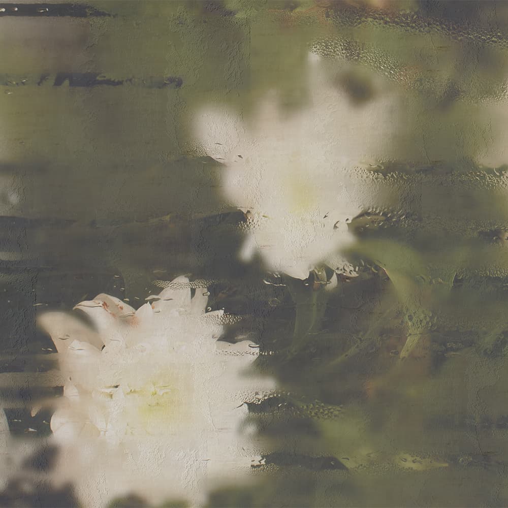 Adriani & Rossi Chiara — фото 1