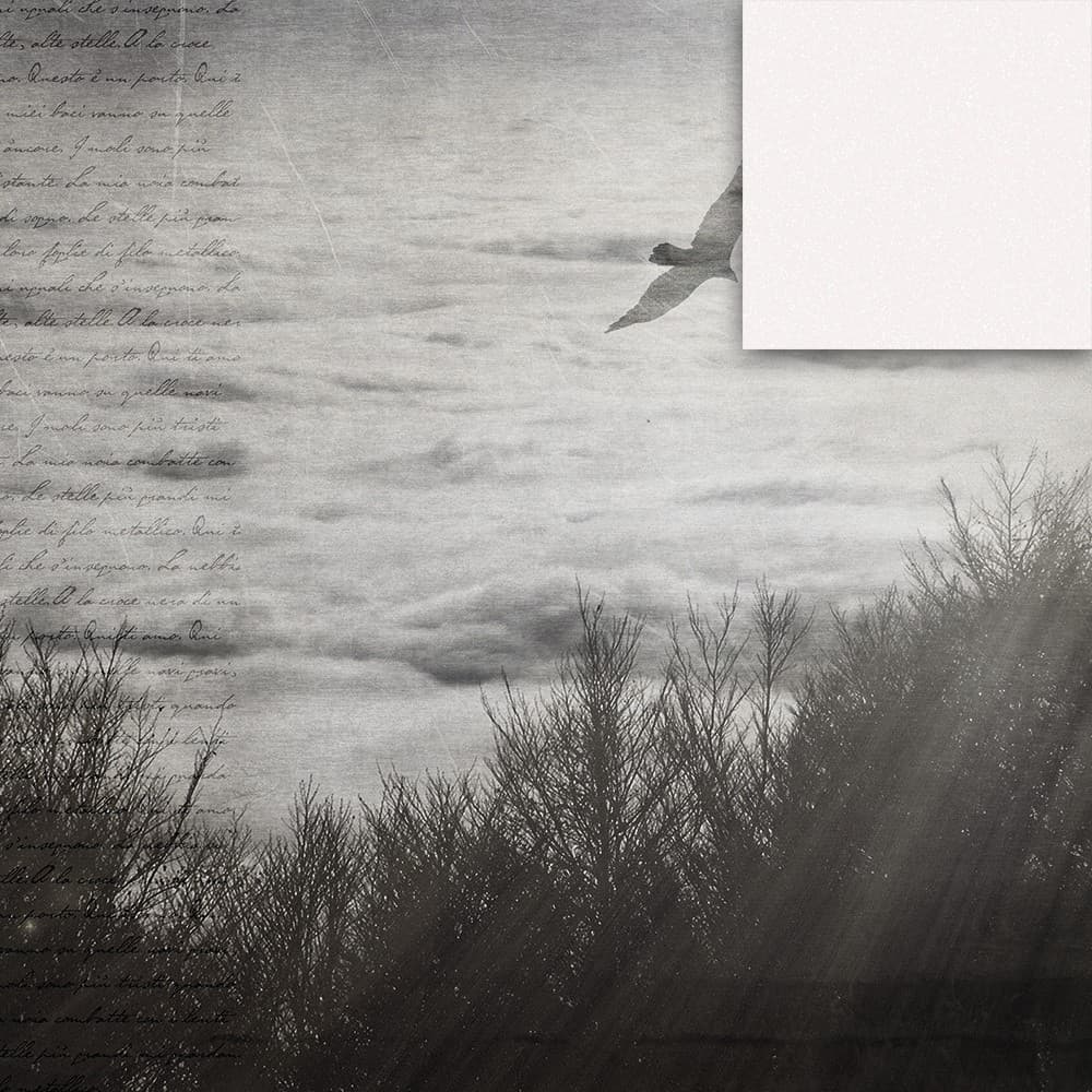 Adriani & Rossi Atmosphere_2 — фото 4