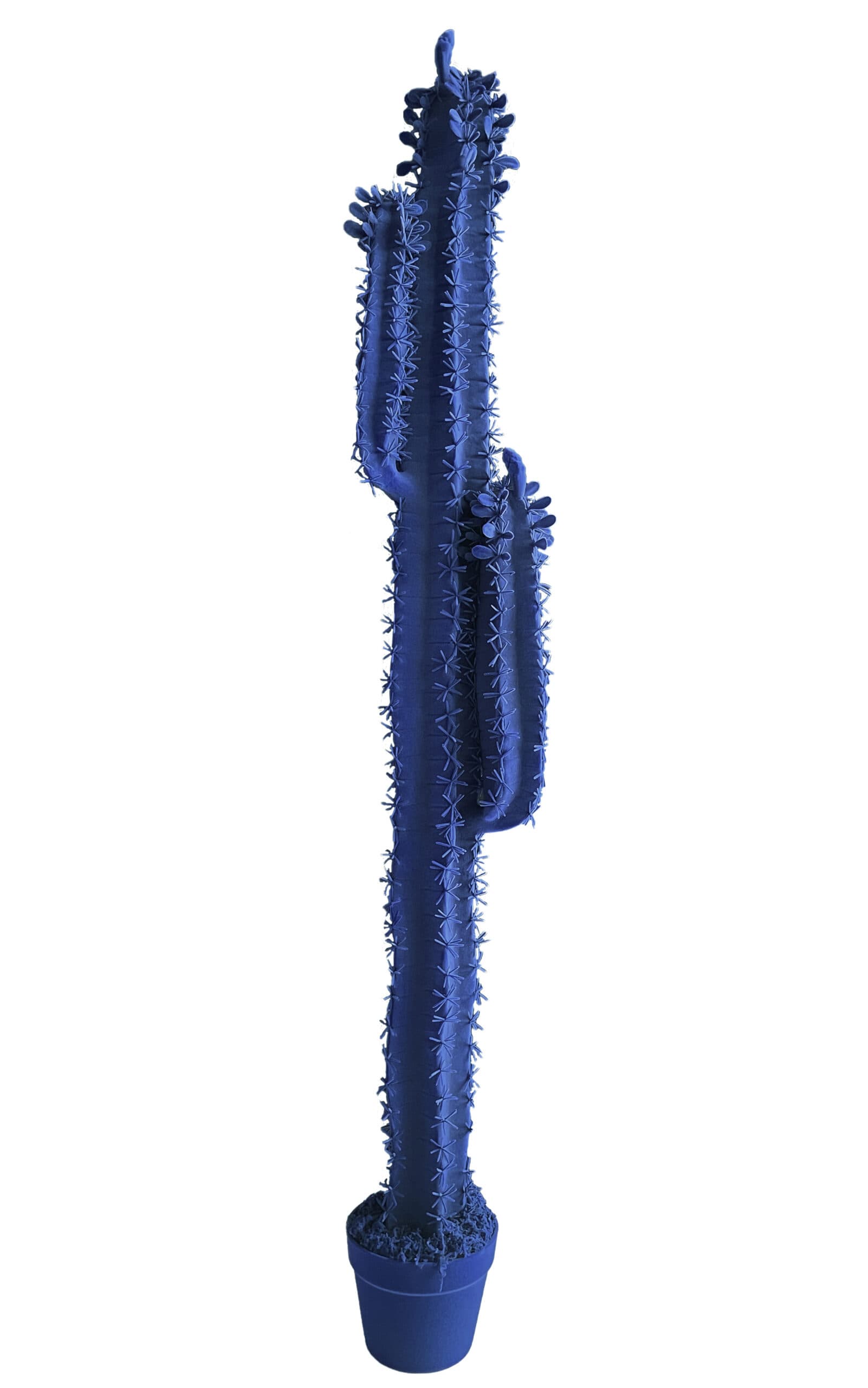 Adriani & Rossi Cactus Cereus h 153 cm