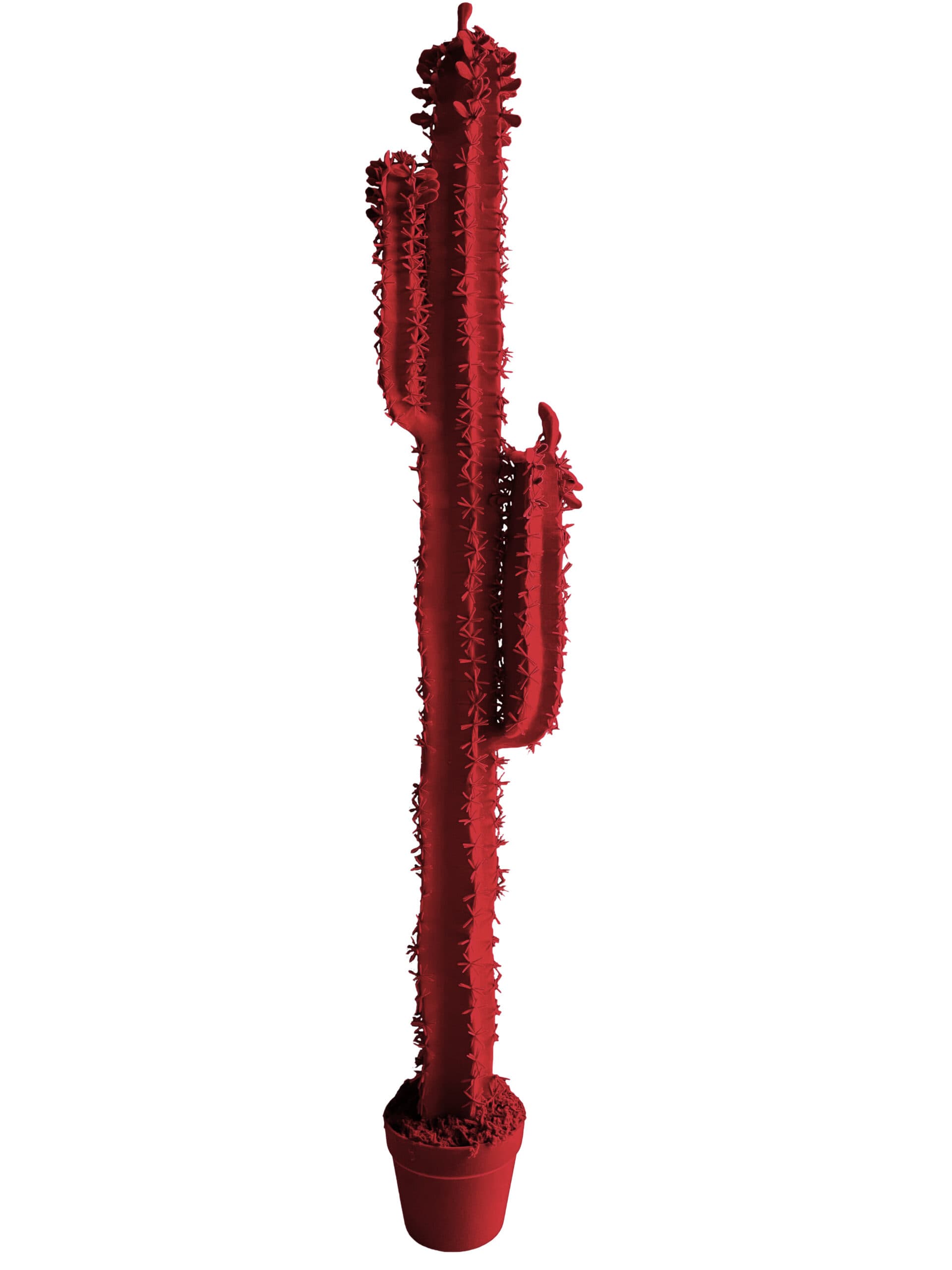 Adriani & Rossi Cactus Cereus h 153 cm