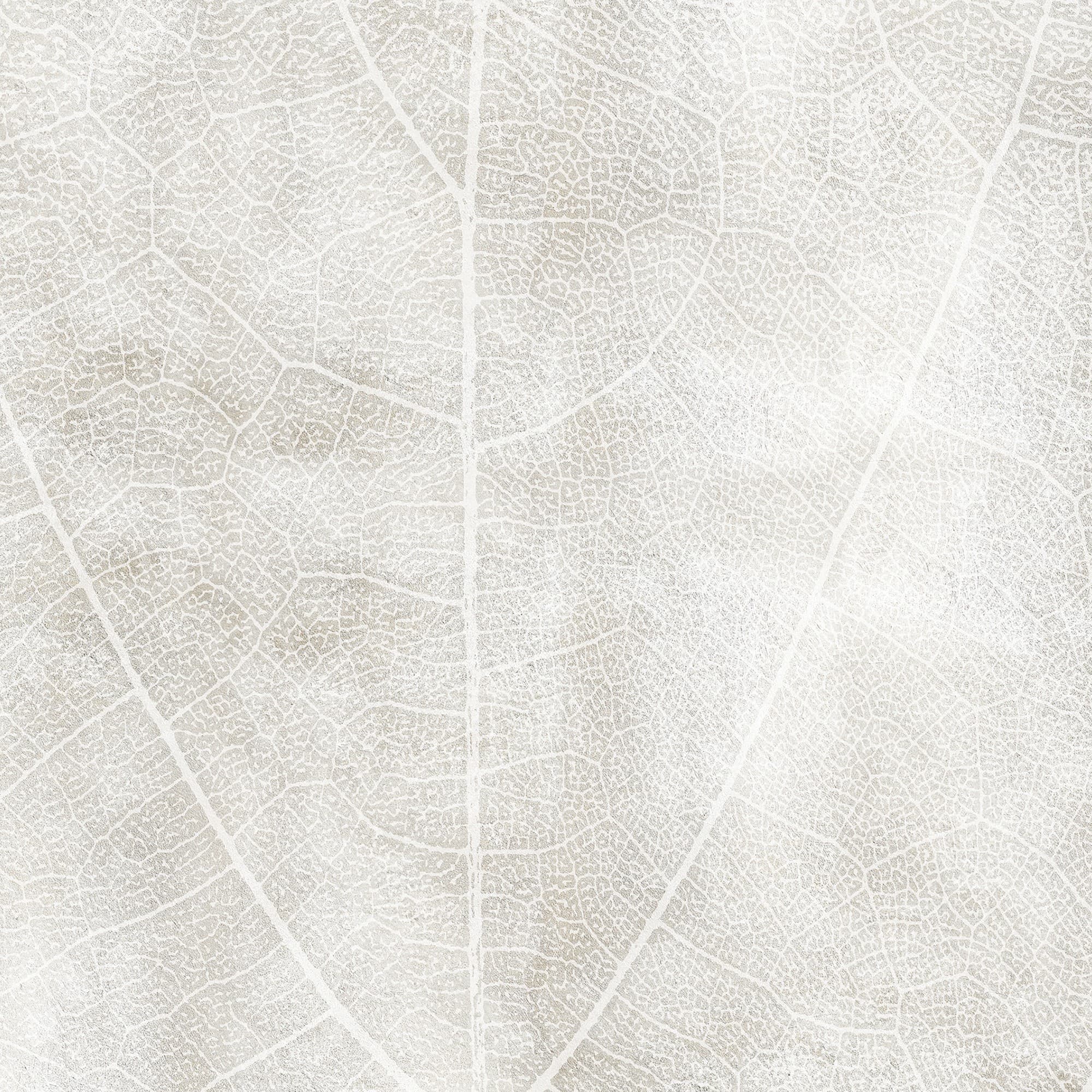 Adriani & Rossi Leavessun — фото 1