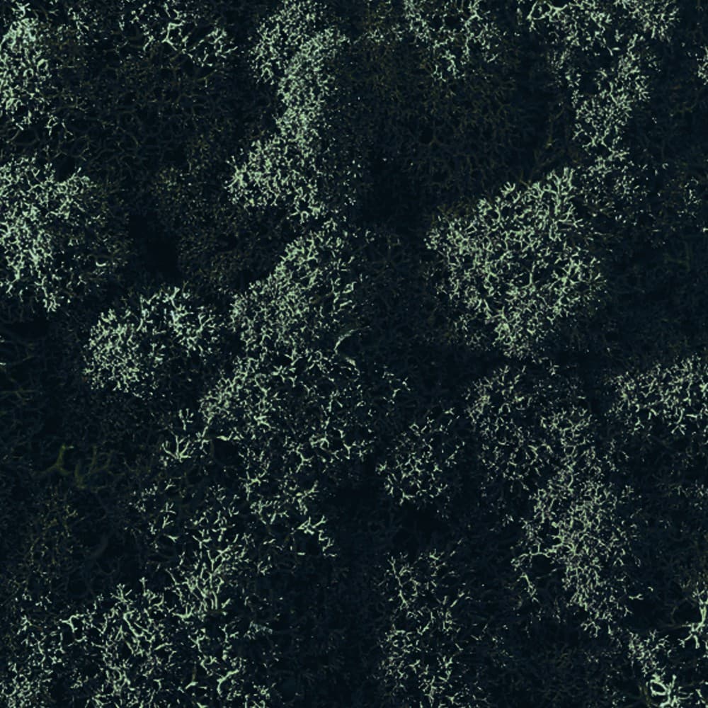 Adriani & Rossi Lichene al mq — фото 6