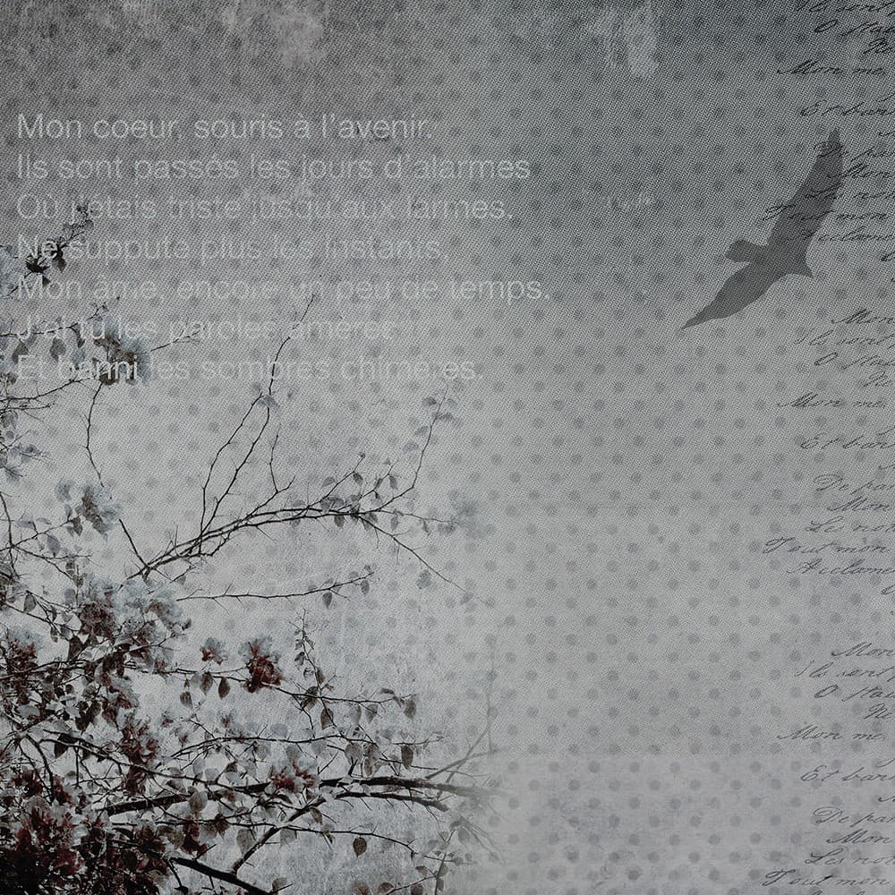 Adriani & Rossi Romantic_2 — фото 1