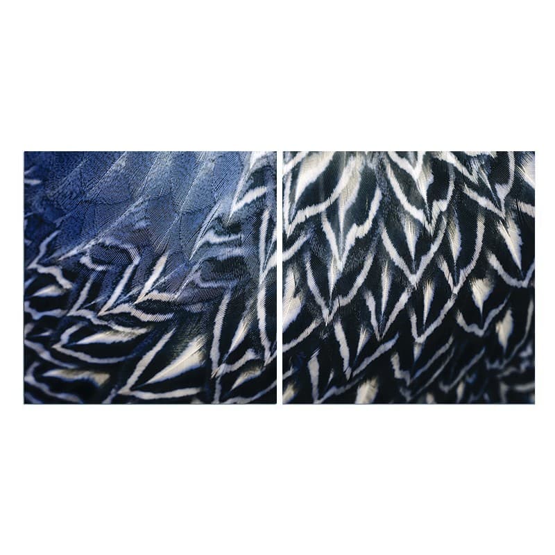 Adriani & Rossi Four season FS2106