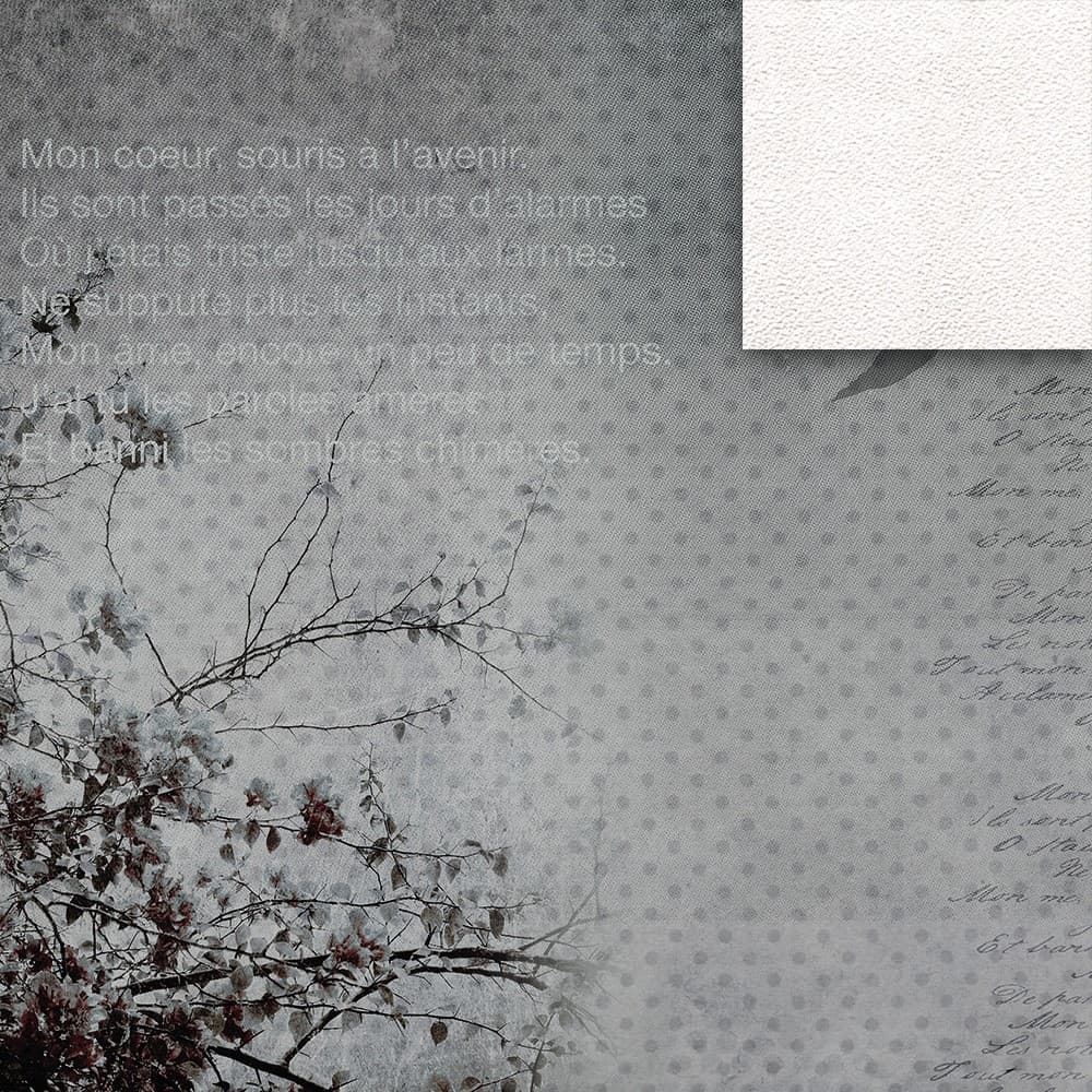 Adriani & Rossi Style_2 — фото 2