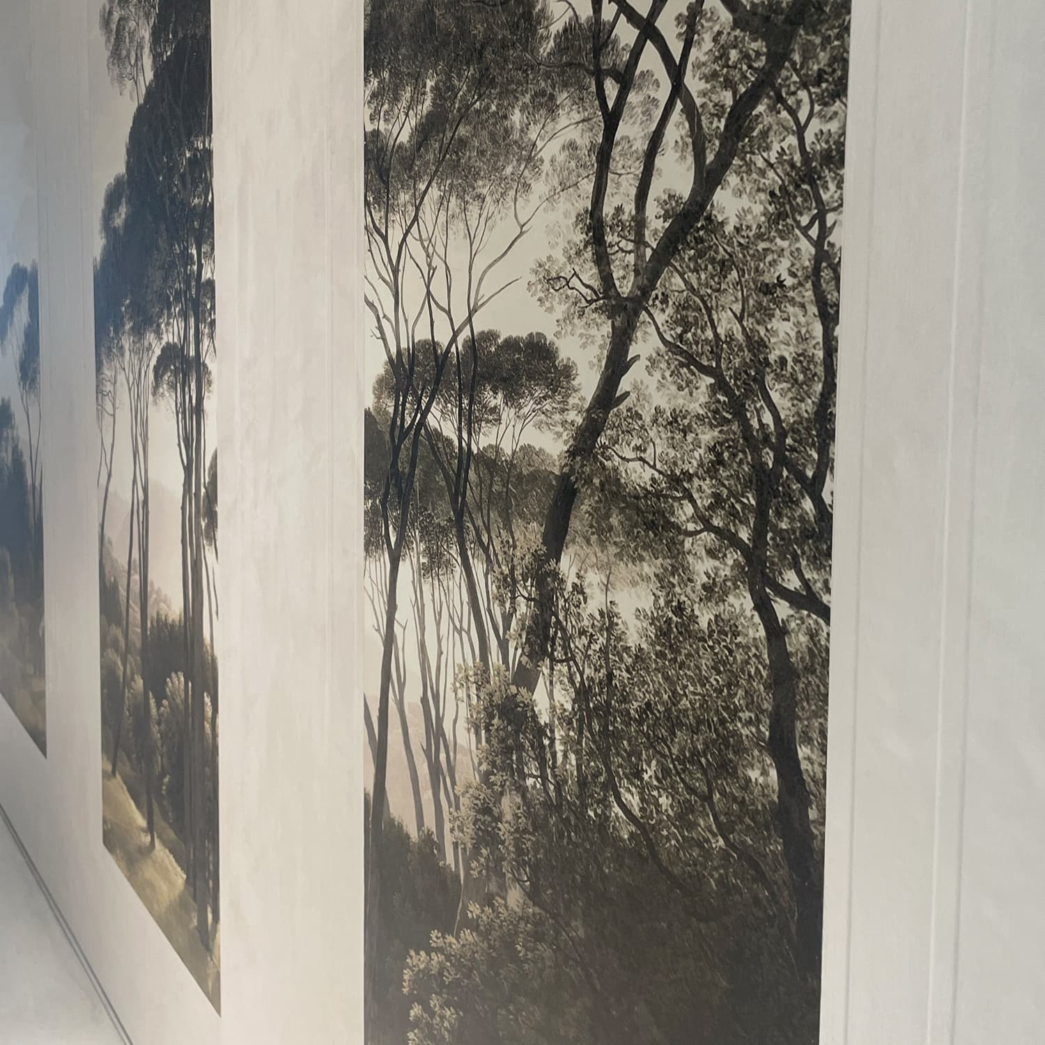 Adriani & Rossi Canova – Tree Color – 3D — фото 2