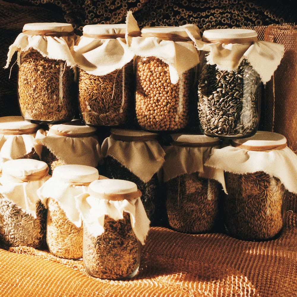 Adriani & Rossi Barattolo Pratico