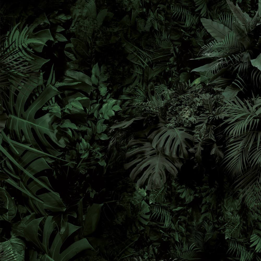 Adriani & Rossi Dark Green — фото 1