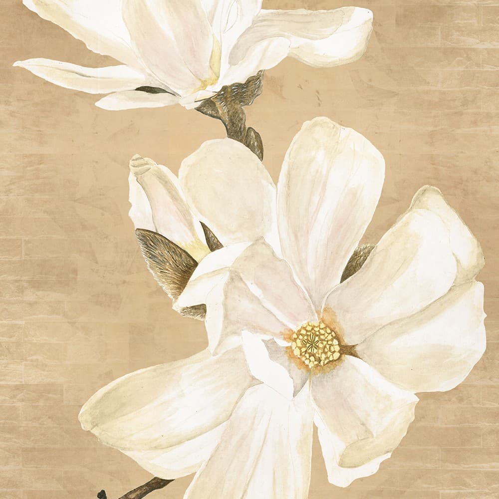 Adriani & Rossi Magnolia — фото 1