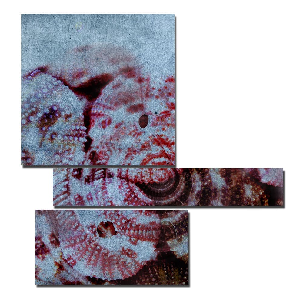 Adriani & Rossi 2066PX200